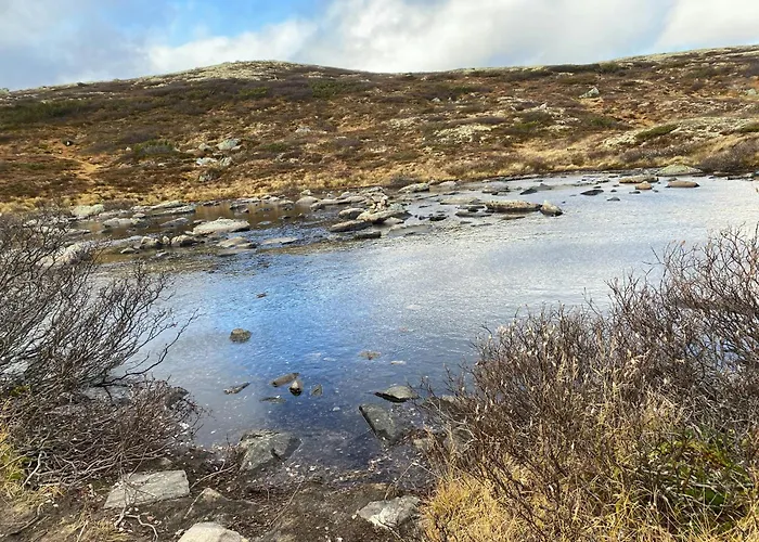 Traditional In Nosterbolia بيت للعطل Uvdal